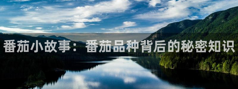 盗墓笔记小说趣笔阁
